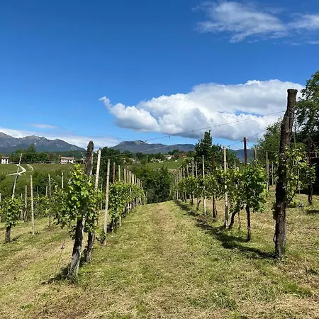 Le Terre Gobe 公寓 *